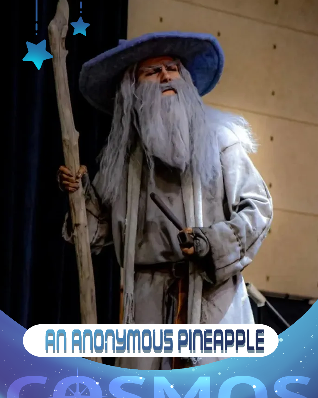 Photo de An Anonymous Pineapple